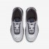 Nike Air Max Tailwind 4 SE | Wolf Grey / Pure Platinum / Off Noir / Metallic Silver