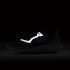 Nike Zoom Pegasus 36 Trail GORE-TEX | Bicoastal / Silver Pine / Light Bone / Off Noir