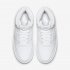 Nike Ebernon Mid | White / White