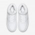 Nike Ebernon Mid | White / White